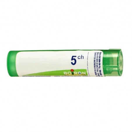 Boiron Natrum Phos Boi 5ch 80gr4g