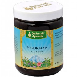 Map Italia Vigormap Pasta...