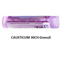 Boiron Causticum Boi 30ch 80gr 4g