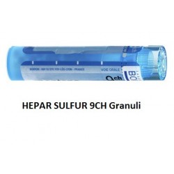 Boiron Hepar Sulfur Boi 9ch 80gr