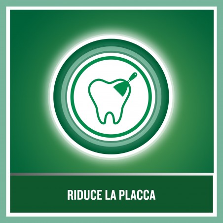 Johnson & Johnson Listerine Denti & Gengive Delicato 95 Ml