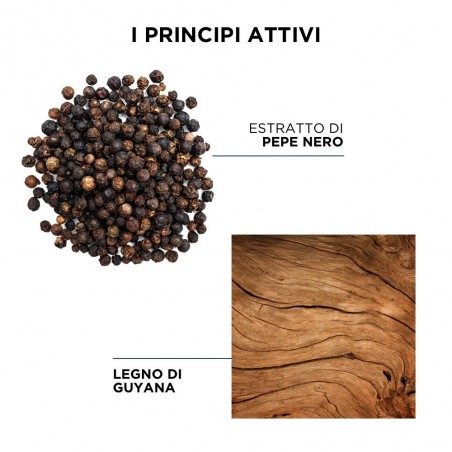 Phytosquam Purifiant Shampoo 250 Ml