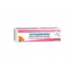 Boiron Dermoplasmine Balsamo Labbra Riparatore E Nutriente 10 G