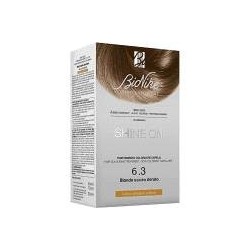 I. C. I. M. Internation...