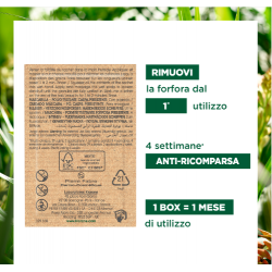 Klorane Shampoo Maschera 2in1 8 Bustine Da 3 G