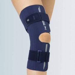 F. G. P. Ginocchiera...