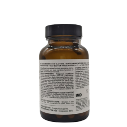 Naturalsalus Is1 Antoxi Plus 60 Capsule