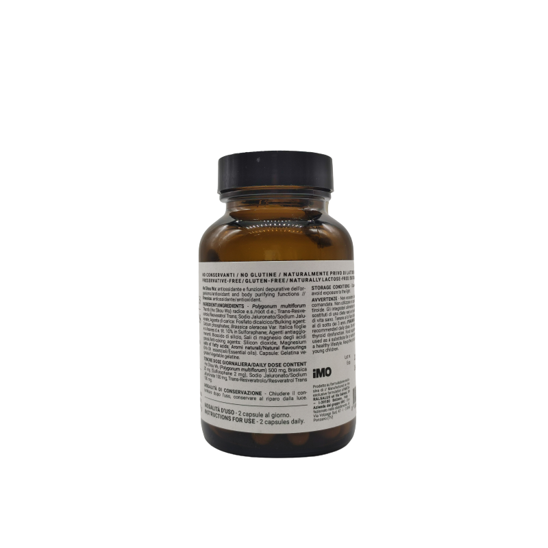 Naturalsalus Is1 Antoxi Plus 60 Capsule