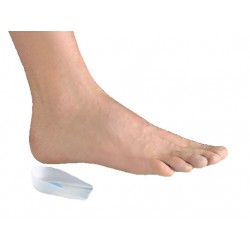 F. G. P. Talloniera In...