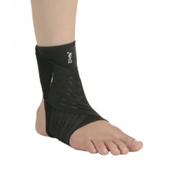 F. G. P. Cavigliera 8light...