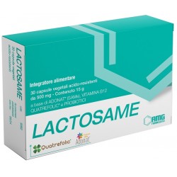 Amg Farmaceutici Lactosame...
