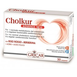 Gricar Chemical Cholkur...