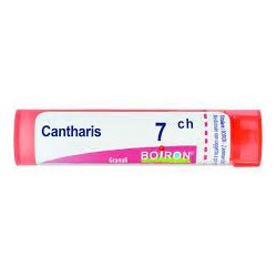 Boiron Cantharis 7 Ch Granuli