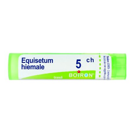 Boiron Equisetum Hiemale 5ch Gr