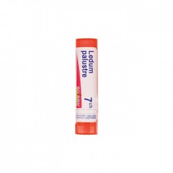 Boiron Ledum Palustre 7 Ch Granuli