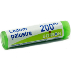 Boiron Ledum Palust 200ch Gl