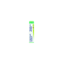 Boiron Arsenicum Iod 200ch Gl