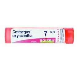 Boiron Crataegus Oxyacantha...