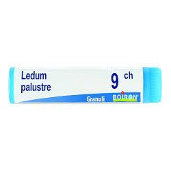 Boiron Ledum Palust 9ch Gl