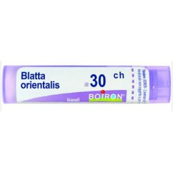 Boiron Blatta Orientalis...