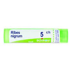 Boiron Ribes Nigrum 5ch Gr
