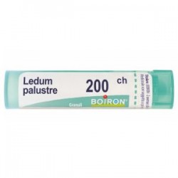 Boiron Ledum Palustre 200...