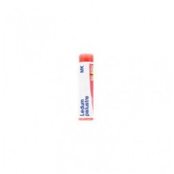 Boiron Ledum Palust Mk Gl