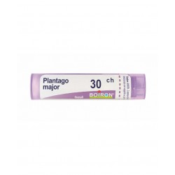 Boiron Plantago Major 30ch Gr