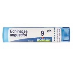 Boiron Echinacea Angust 9ch Gr