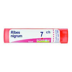 Boiron Ribes Nigrum 7ch Gr