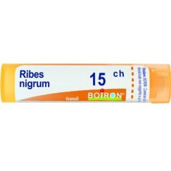 Boiron Ribes Nigrum 15ch Gr