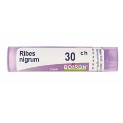 Boiron Ribes Nigrum 30ch Gr