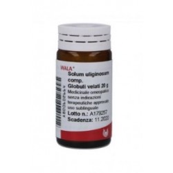 Wala Italia Wala Solum...