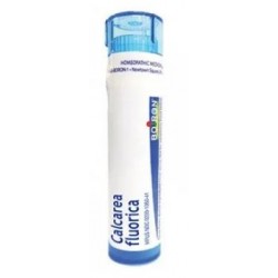 Boiron Calcarea Sulf 6ch Gr