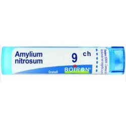 Boiron Amylium Nitrosum 9ch Gr