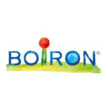 Boiron Silicea Mk Gr