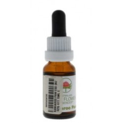 Natur Kangaroo Paw Essenza...