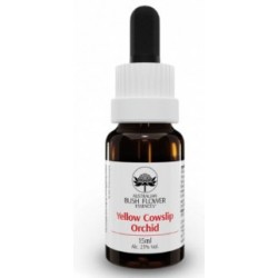 Natur Yellow Cowslip...