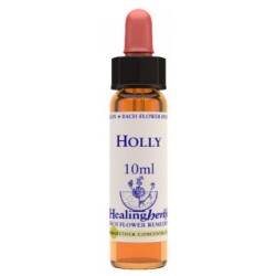 Natur Holly Essenza 10 Ml 1...