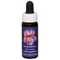 Natur Pink Monkeyflower...