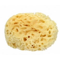 Bm Farmaceutici Spugna Mare...