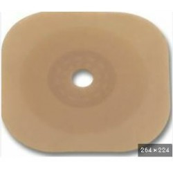 Hollister Placca Post...