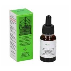 Alkaest Mgs21 Vite Macerato...