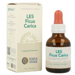 Forza Vitale Italia Les...