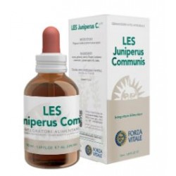 Forza Vitale Italia Les...