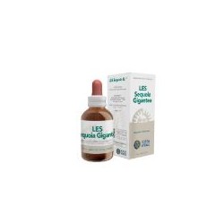 Forza Vitale Italia Les...