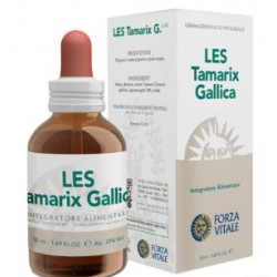 Forza Vitale Italia Les...