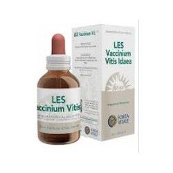 Forza Vitale Italia Les...