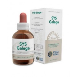 Forza Vitale Italia Sys...