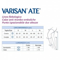 Cizeta Medicali Varisan Ate...